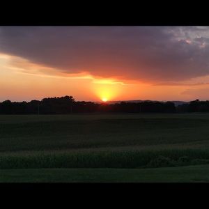 Meet your Posher, Dodi